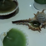 Conchas y caracolas convertidas en velas decorativas